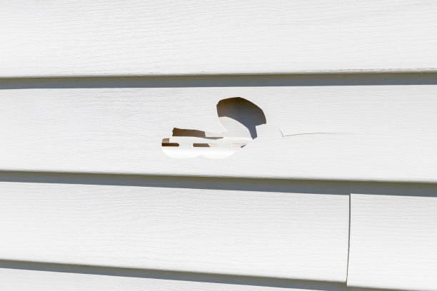 Best Carpet Removal and Disposal  in Braska City, NE